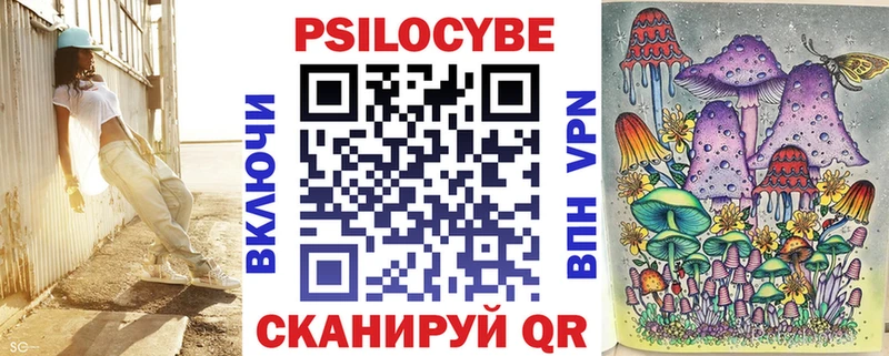 Псилоцибиновые грибы Psilocybine cubensis  Камбарка 